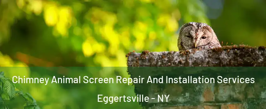  Chimney Animal Screen Repair And Installation Services Eggertsville - NY