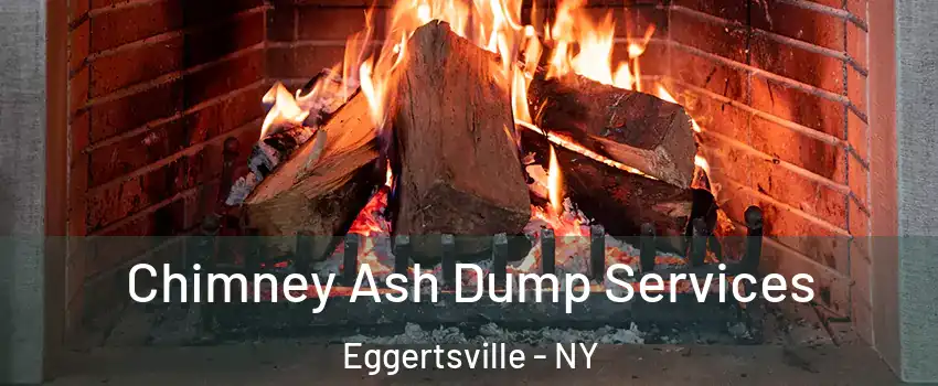  Chimney Ash Dump Services Eggertsville - NY