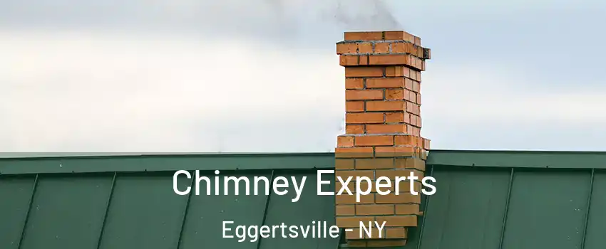  Chimney Experts Eggertsville - NY