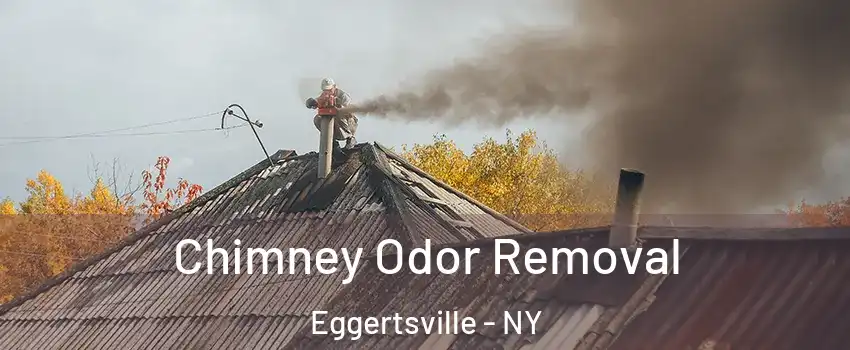  Chimney Odor Removal Eggertsville - NY
