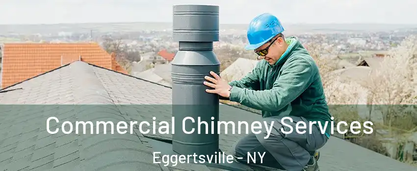  Commercial Chimney Services Eggertsville - NY