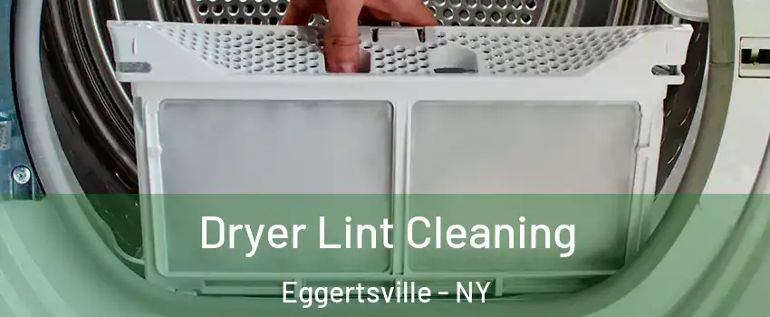  Dryer Lint Cleaning Eggertsville - NY