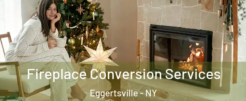  Fireplace Conversion Services Eggertsville - NY