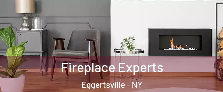  Fireplace Experts Eggertsville - NY