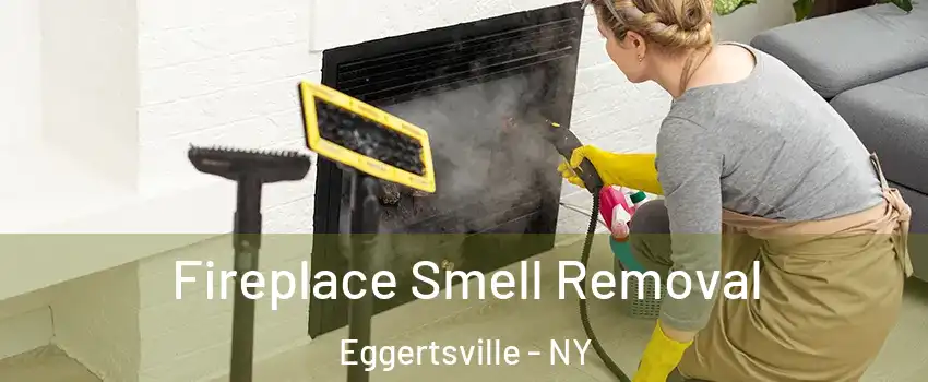  Fireplace Smell Removal Eggertsville - NY