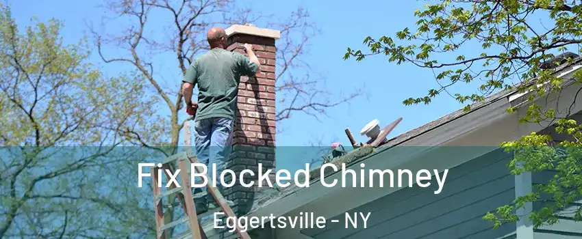  Fix Blocked Chimney Eggertsville - NY