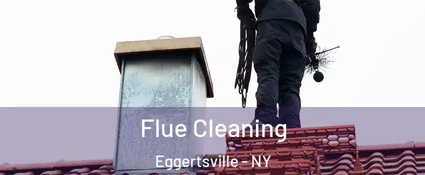  Flue Cleaning Eggertsville - NY