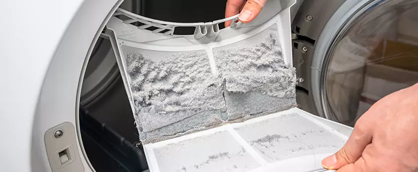 Best Dryer Lint Removal Company in Eggertsville, New York