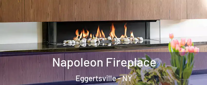  Napoleon Fireplace Eggertsville - NY